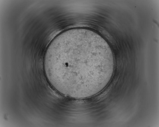 X0000096951177200803071021