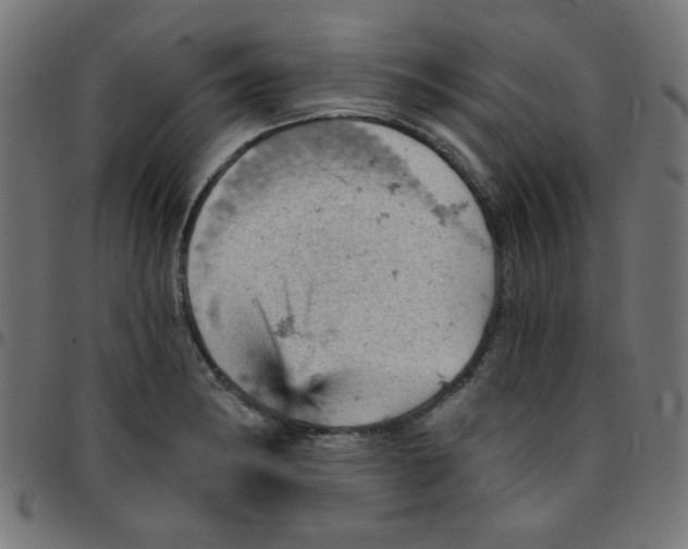 X0000096951182200803071021