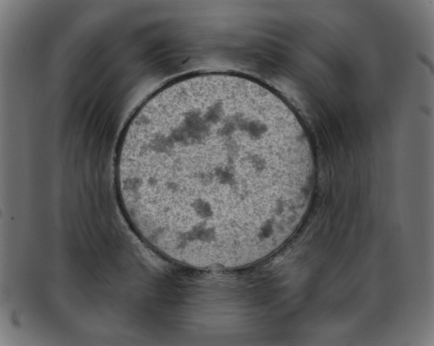 X0000096951183200803071021