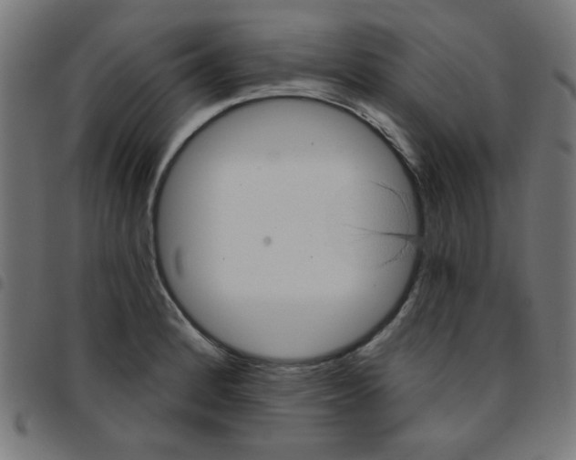 X0000096951184200803071021