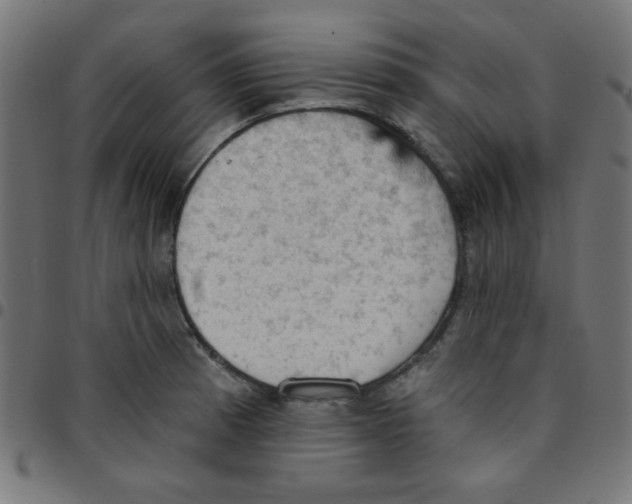 X0000096951185200803071021