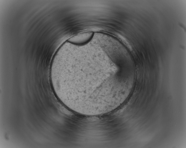 X0000096951186200803071021