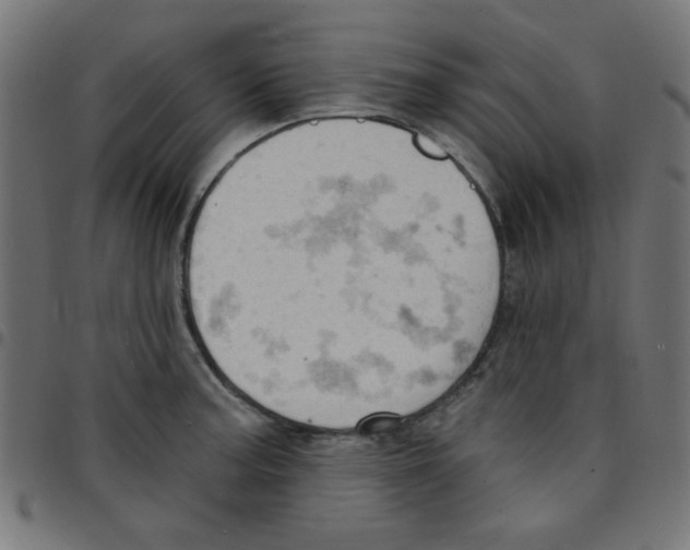 X0000096951187200803071021
