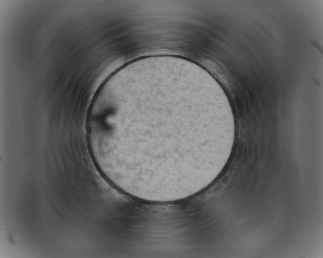 X0000096951189200803071021