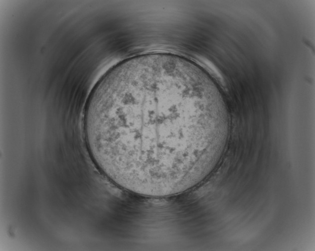 X0000096951190200803071021