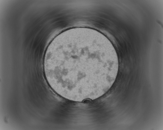 X0000096951191200803071021