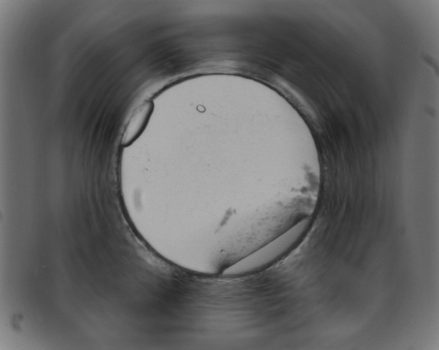 X0000096951192200803071021