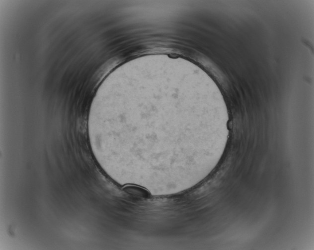 X0000096951193200803071021