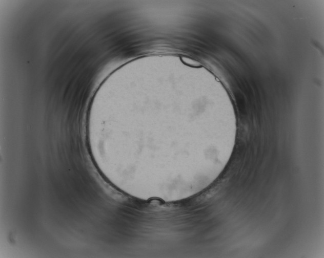 X0000096951195200803071021