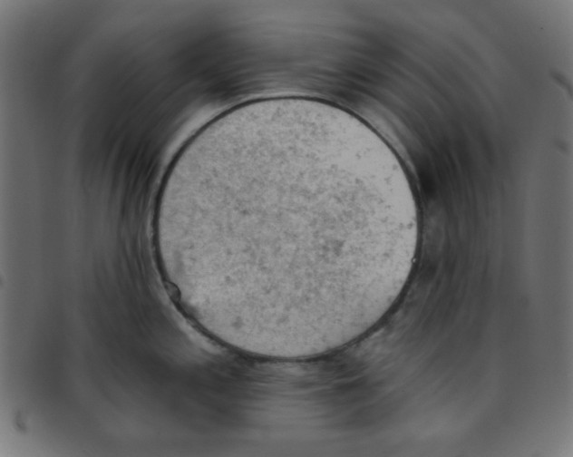 X0000096951197200803071021