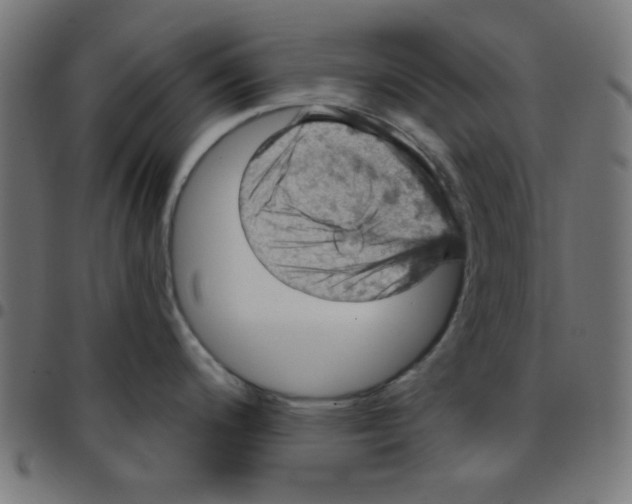X0000096951200200803071021