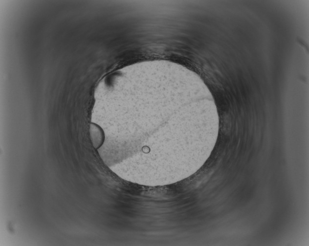 X0000096951201200803071020