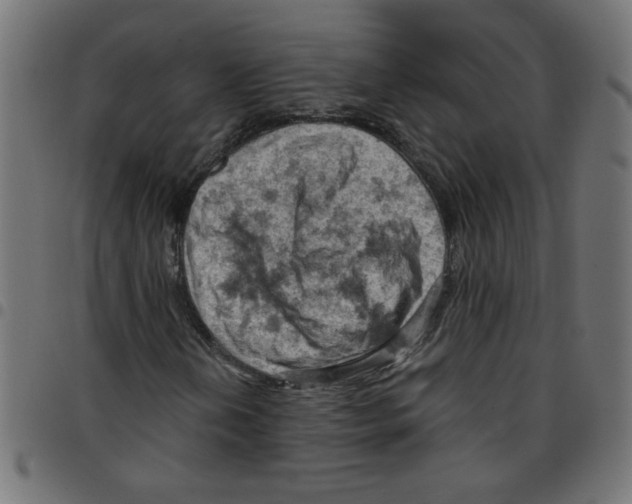 X0000096951202200803071020
