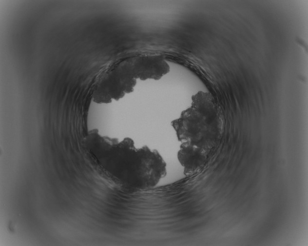 X0000096951204200803071020