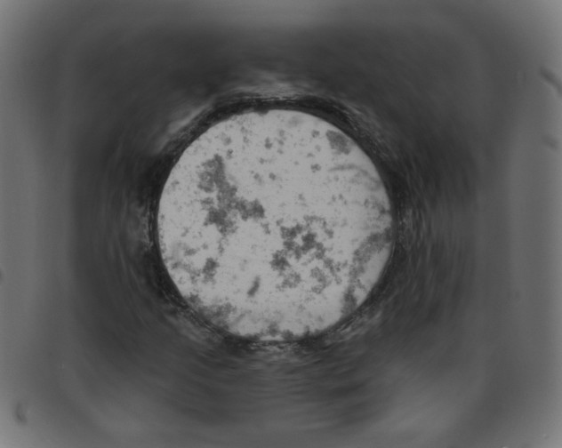 X0000096951205200803071020