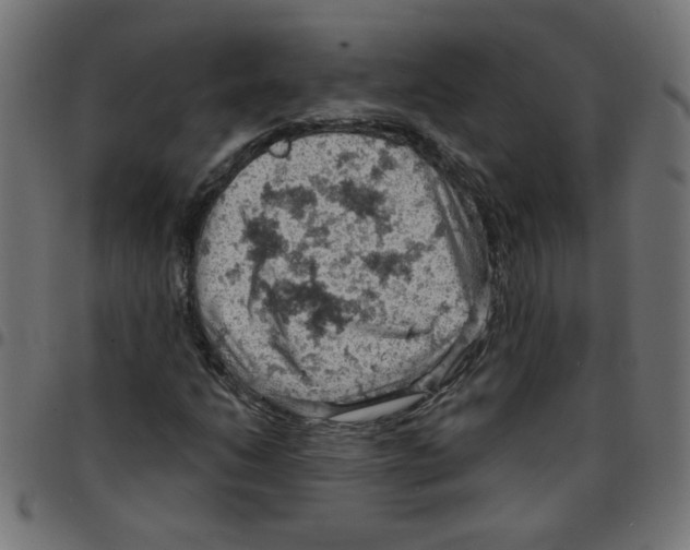 X0000096951206200803071020
