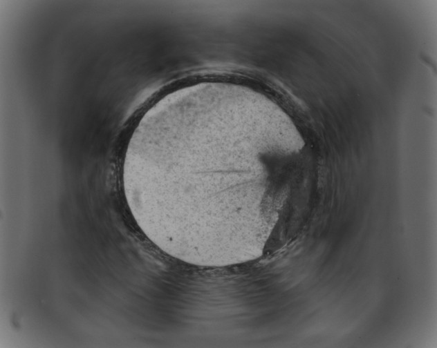 X0000096951208200803071020