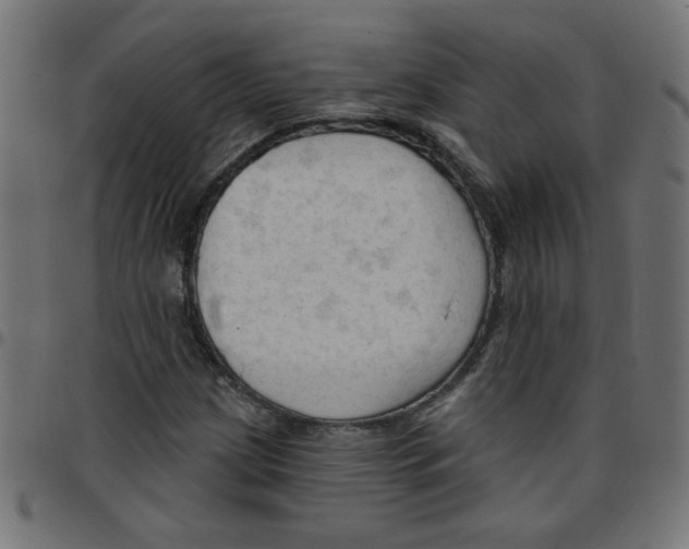 X0000096951209200803071020