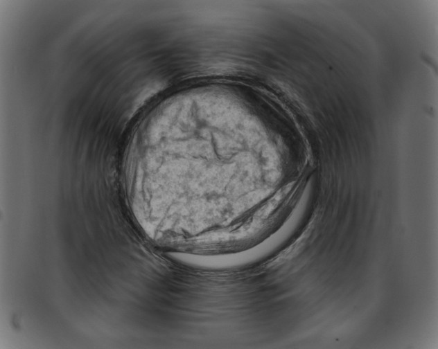 X0000096951210200803071020
