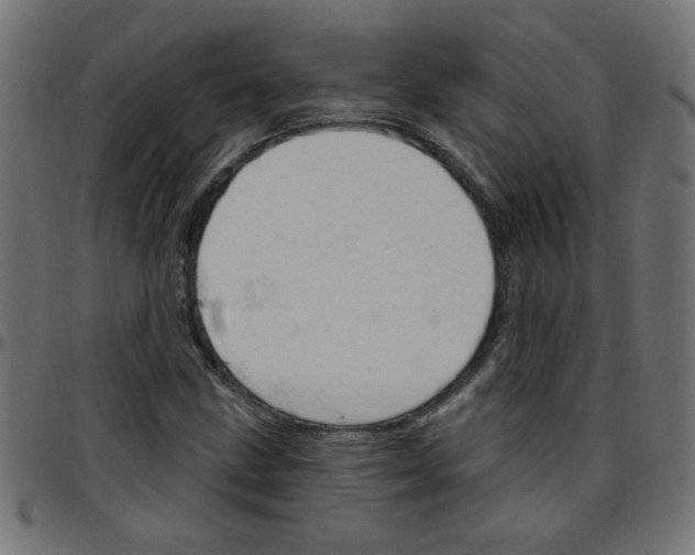 X0000096951211200803071020