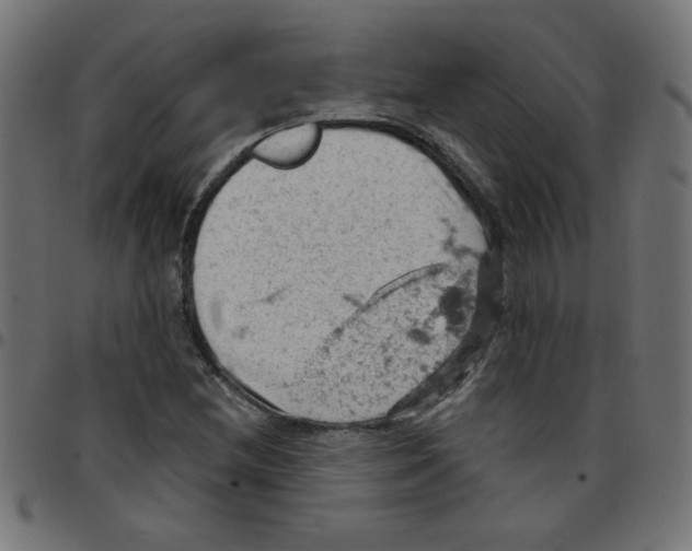 X0000096951212200803071020