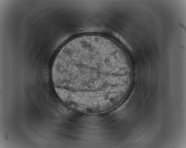 X0000096951213200803071020