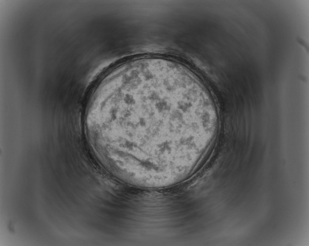 X0000096951214200803071020