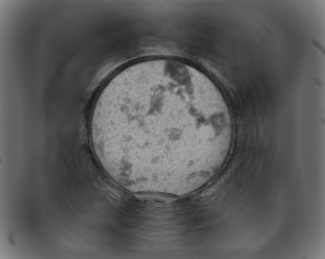 X0000096951215200803071020