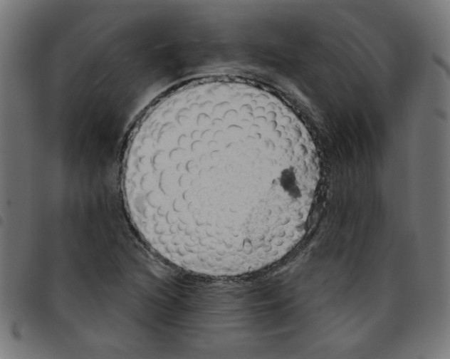 X0000096951216200803071020