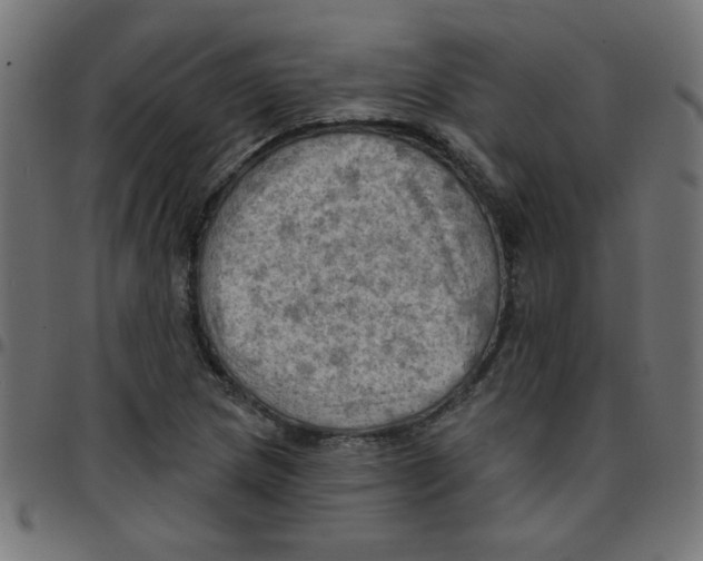 X0000096951217200803071020