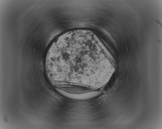 X0000096951218200803071020