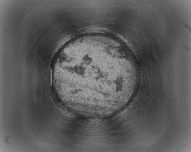 X0000096951219200803071020