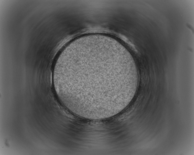 X0000096951221200803071021