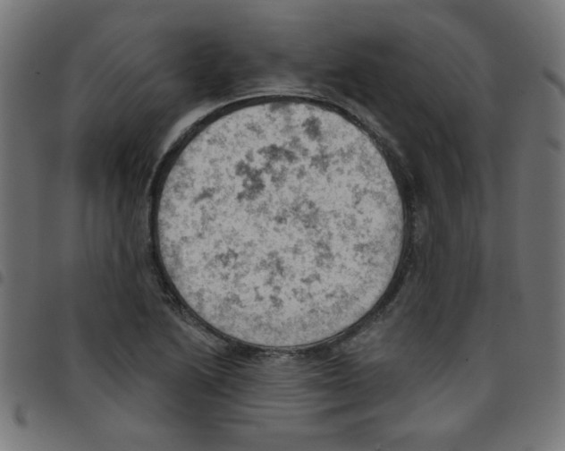 X0000096951222200803071021