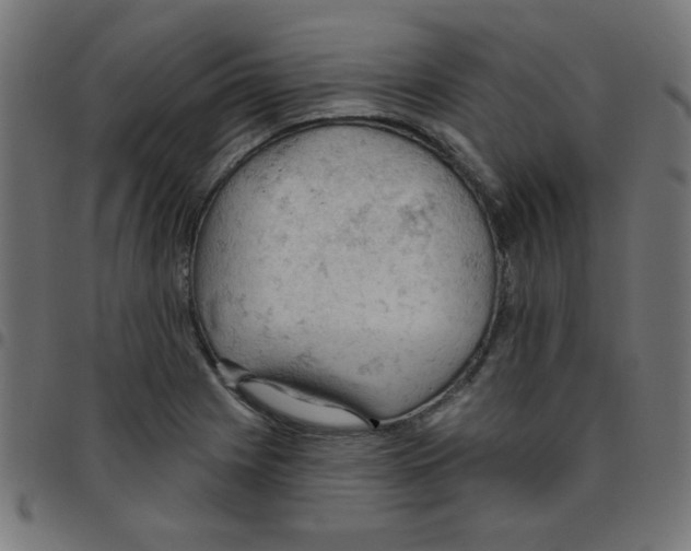 X0000096951225200803071021