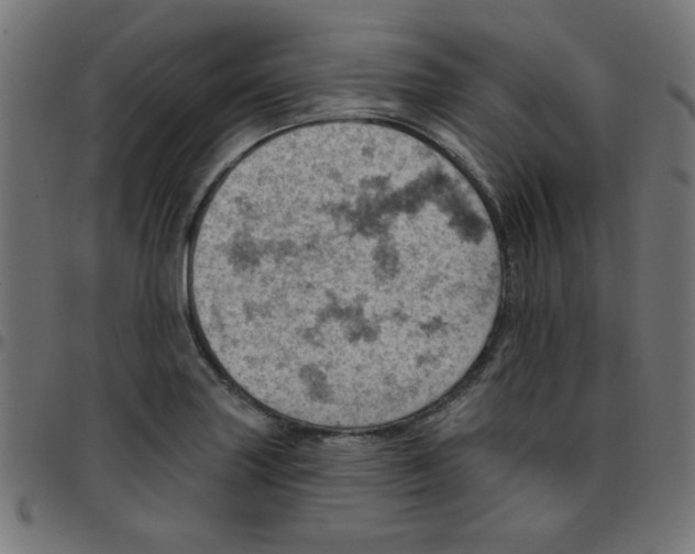 X0000096951227200803071021