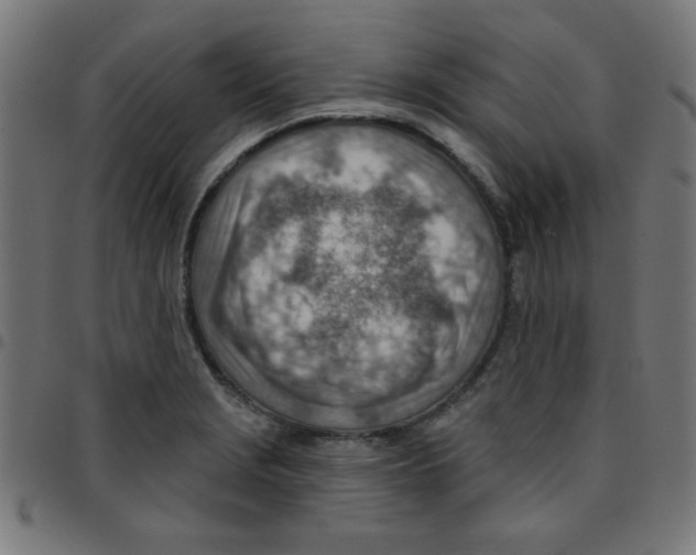 X0000096951229200803071021