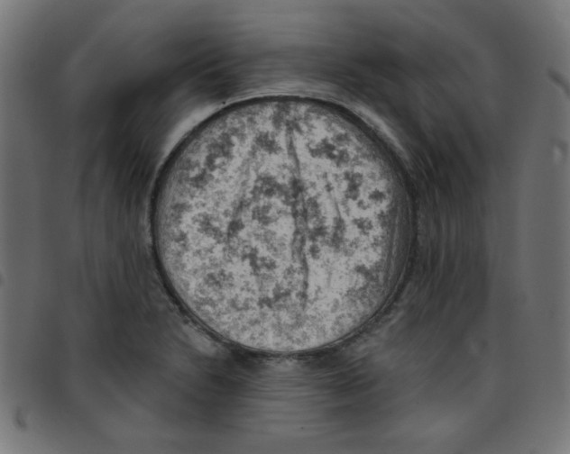 X0000096951230200803071021