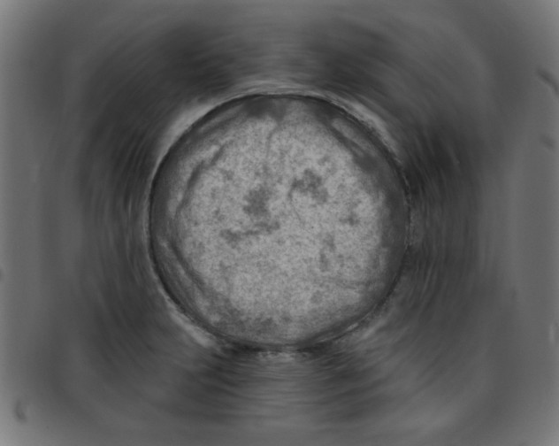X0000096951231200803071021