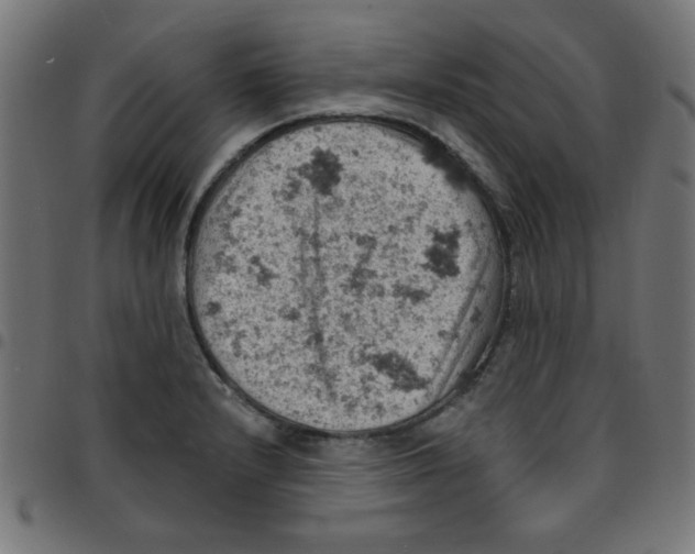 X0000096951232200803071021