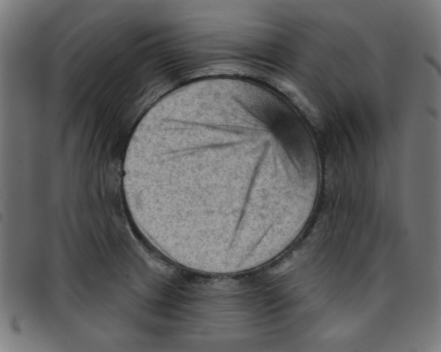 X0000096951233200803071021