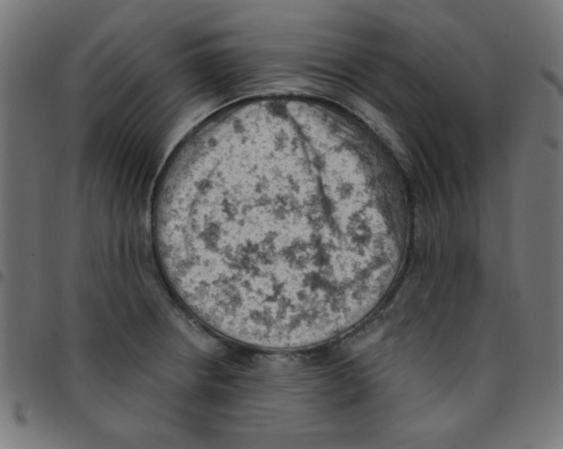 X0000096951234200803071021