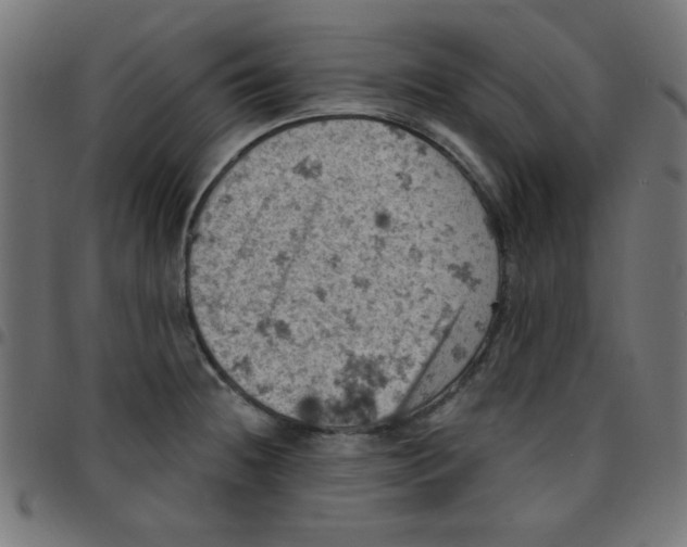 X0000096951236200803071021