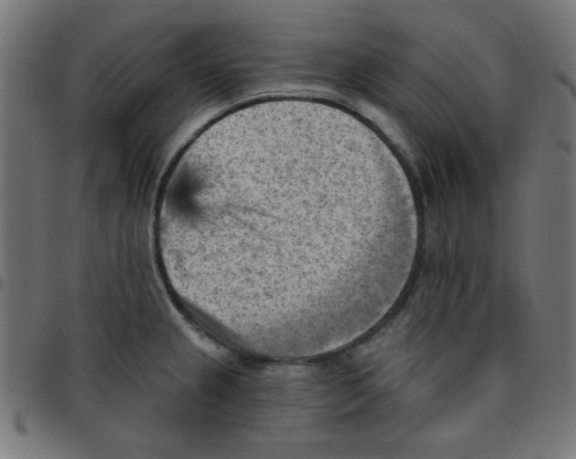 X0000096951237200803071021