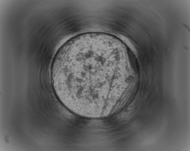 X0000096951238200803071021