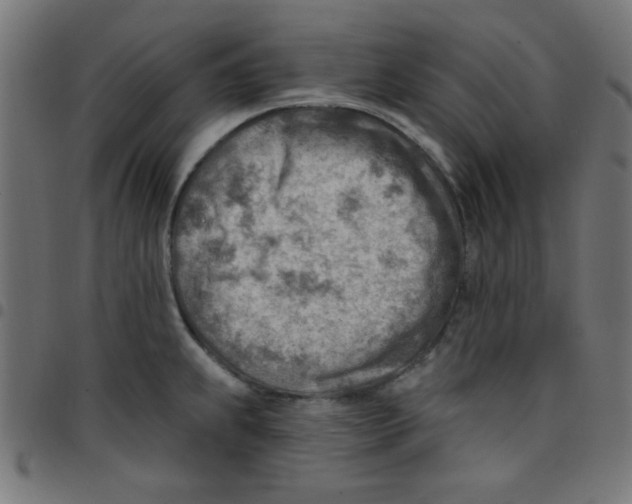 X0000096951239200803071021