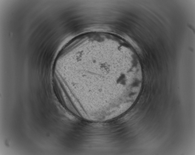 X0000096951240200803071021