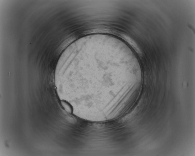 X0000096951241200803071021