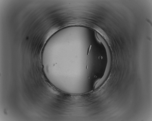 X0000096951242200803071021