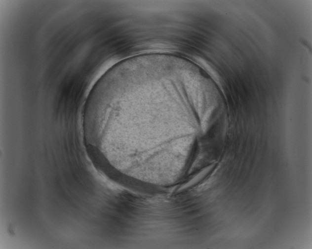 X0000096951243200803071021